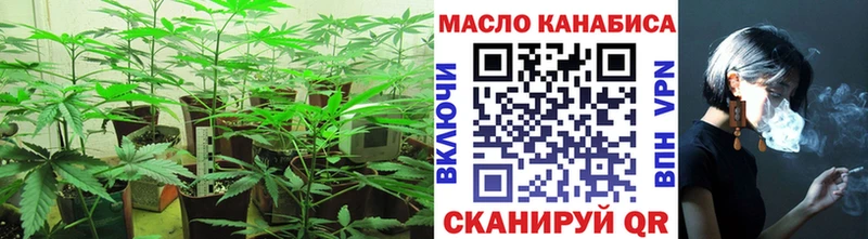 где можно купить наркотик  Ивангород  ТГК THC oil 